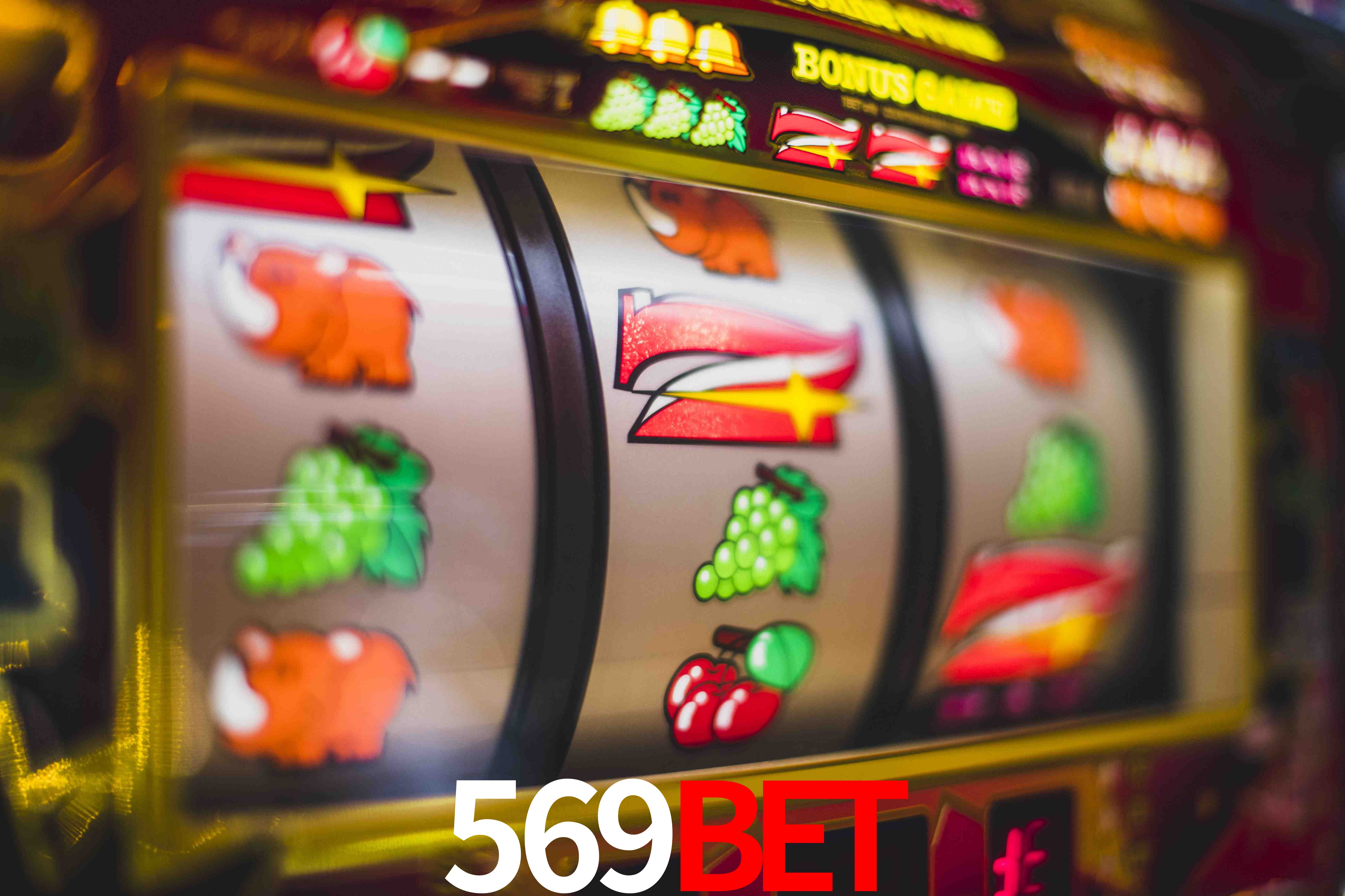 Crash Games Statistics 569Bet